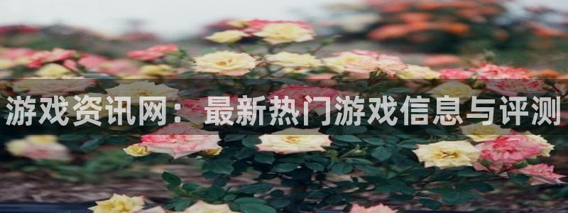 长征娱乐2登录：游戏资讯网：最新热门游戏信息与评测