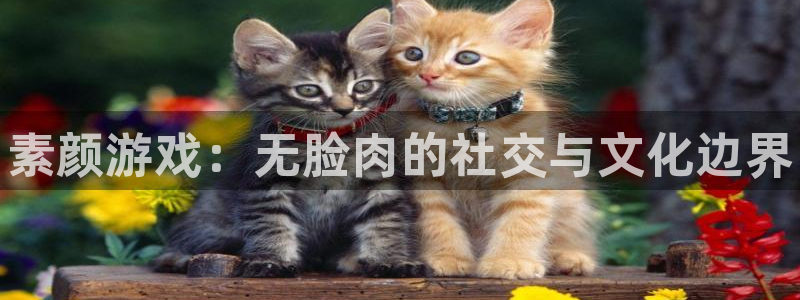 长征娱乐注册登录：素颜游戏：无脸肉的社交与文化边界