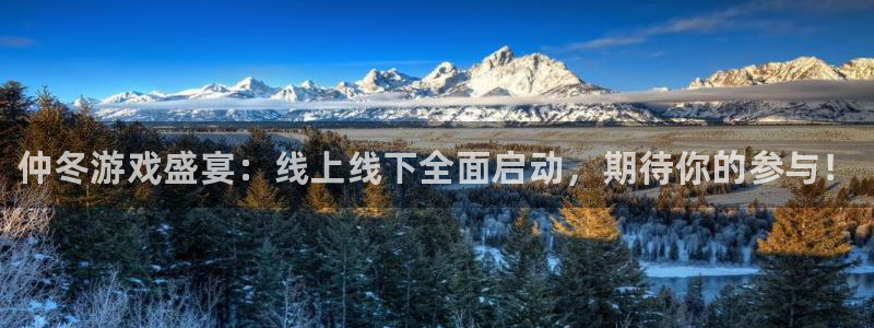 长征娱乐手机网页版登录：仲冬游戏盛宴：线上线下全面启动，期待