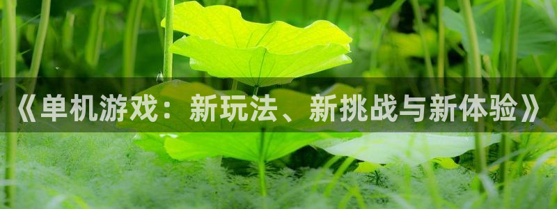 长征娱乐app下载地址：《单机游戏：新玩法、新挑战与新体验》