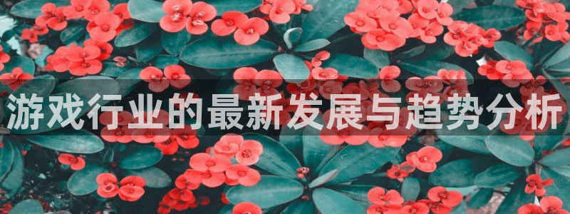 长征娱乐下载链接：游戏行业的最新发展与趋势分析