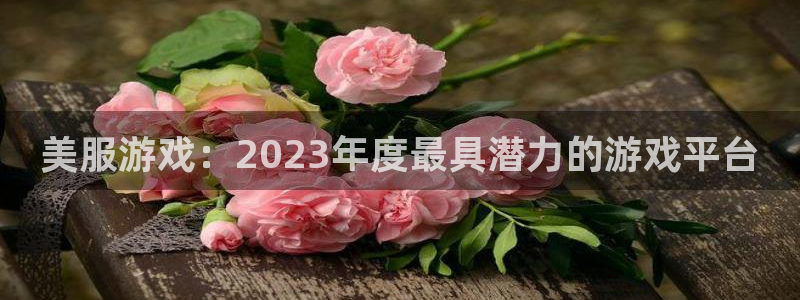 长征娱乐注册测速：美服游戏：2023年度最具潜力的游戏平台