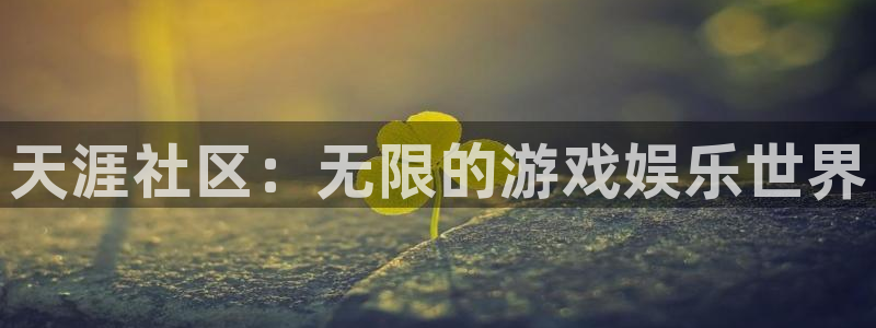 长征娱乐平台登录：天涯社区：无限的游戏娱乐世界