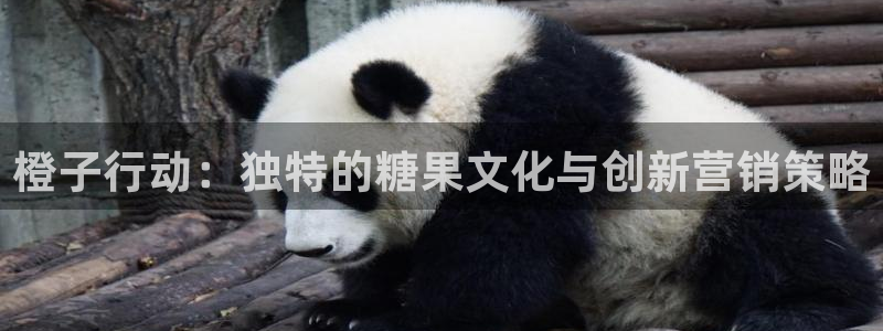 长征娱乐登陆测速：橙子行动：独特的糖果文化与创新营销策略
