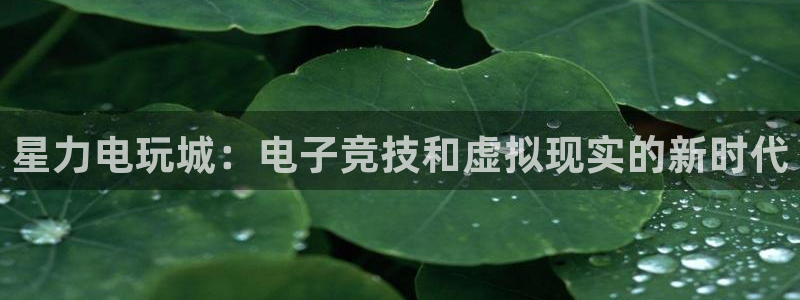 长征娱乐平台官网客服电话
