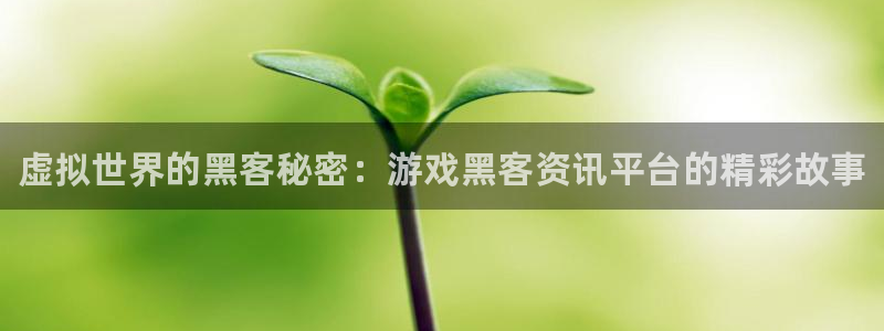 长征娱乐的意思：虚拟世界的黑客秘密：游戏黑客资讯平台的精彩故