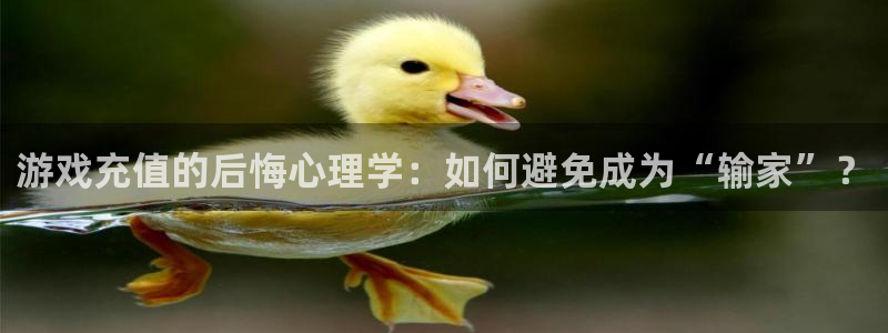 长征娱乐网页登录入口官网：游戏充值的后悔心理学：如何避免成为