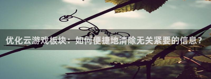 长征娱乐怎么注册：优化云游戏板块：如何便捷地清除无关紧要的信