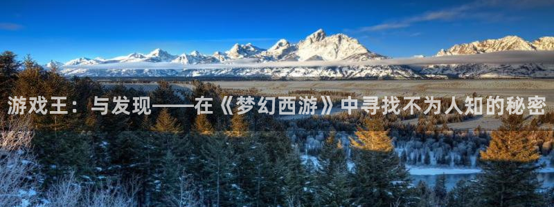 长征娱乐娱乐：游戏王：与发现——在《梦幻西游》中寻找不为人知