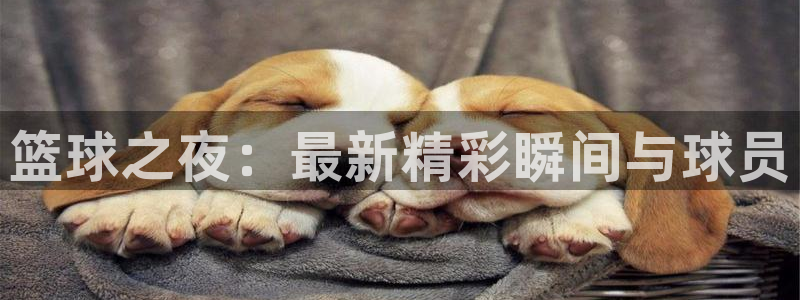 柠檬足球直播在线观看